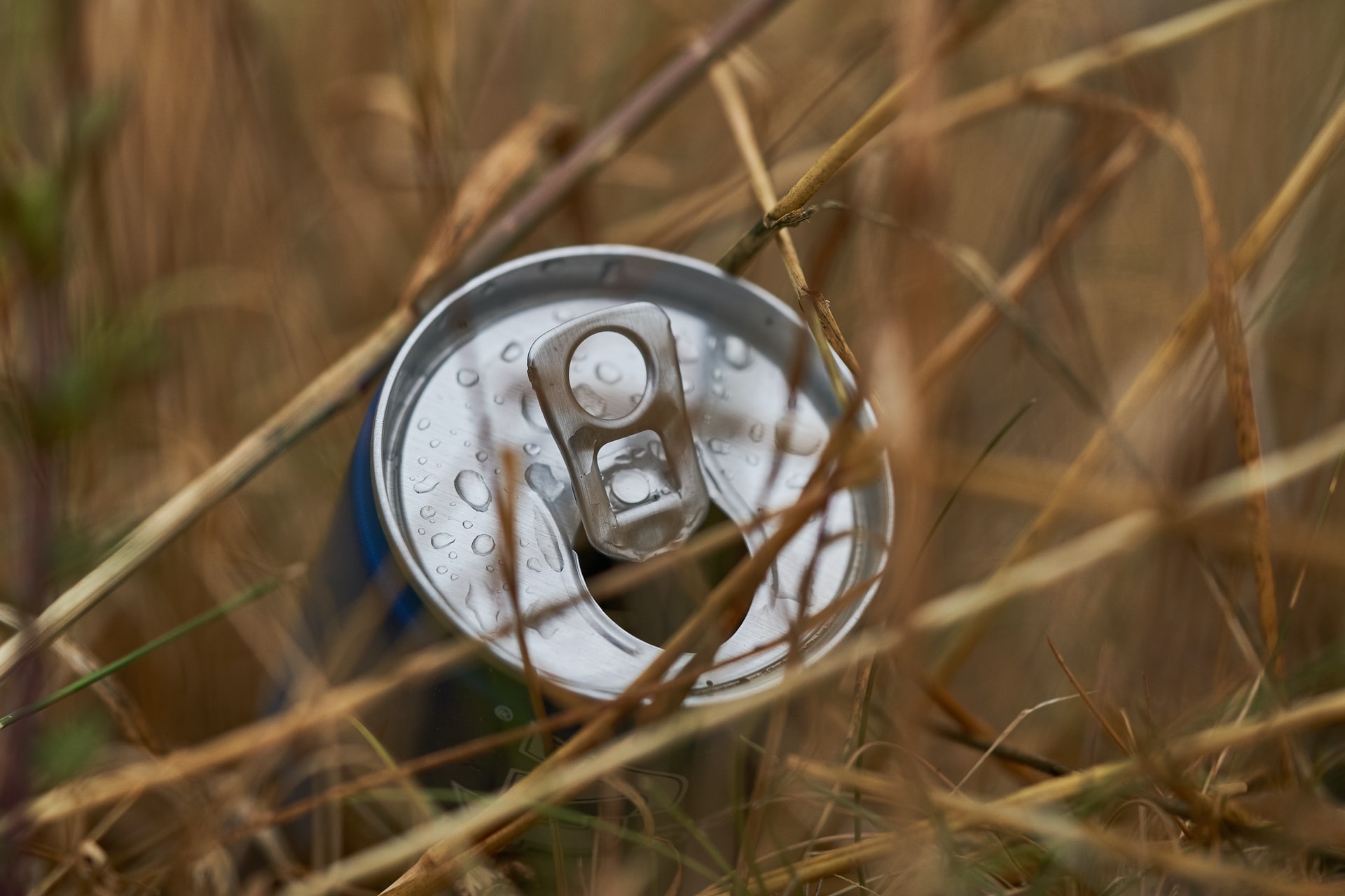 Pourquoi confier à une entreprise le recyclage de vos canettes en aluminium  ? - Cèdre